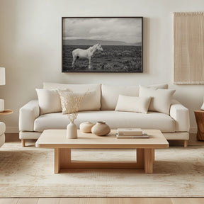 Palomino in Black and White Landscape