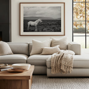 Palomino in Black and White Landscape
