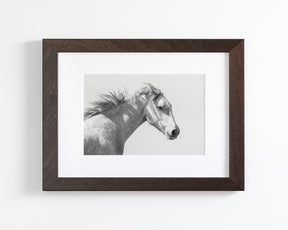 Light and Shadows, Horse Portrait