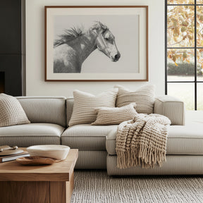 Light and Shadows, Horse Portrait