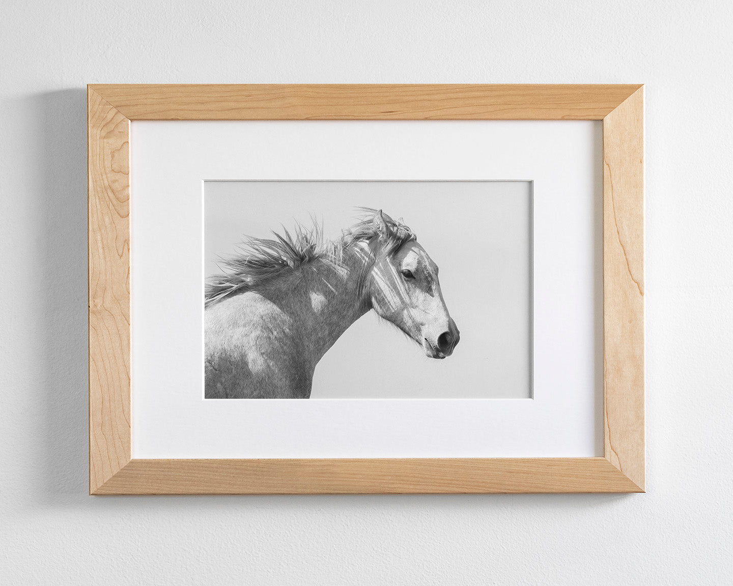 Light and Shadows, Horse Portrait