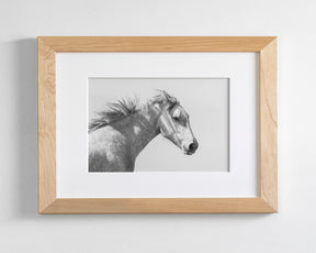 Light and Shadows, Horse Portrait