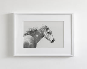 Light and Shadows, Horse Portrait