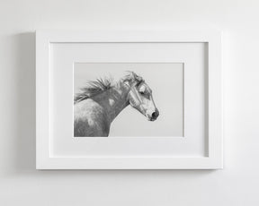 Light and Shadows, Horse Portrait