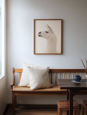 White Llama Profile