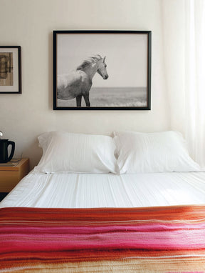 In the Wind, Wild Horse