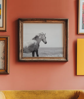 In the Wind, Wild Horse