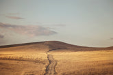 An Autumn Country