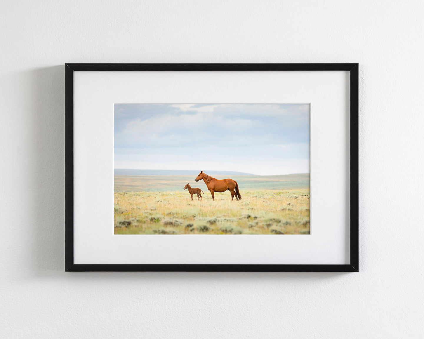 Newborn Foal with Mother, Color