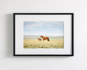 Newborn Foal with Mother, Color