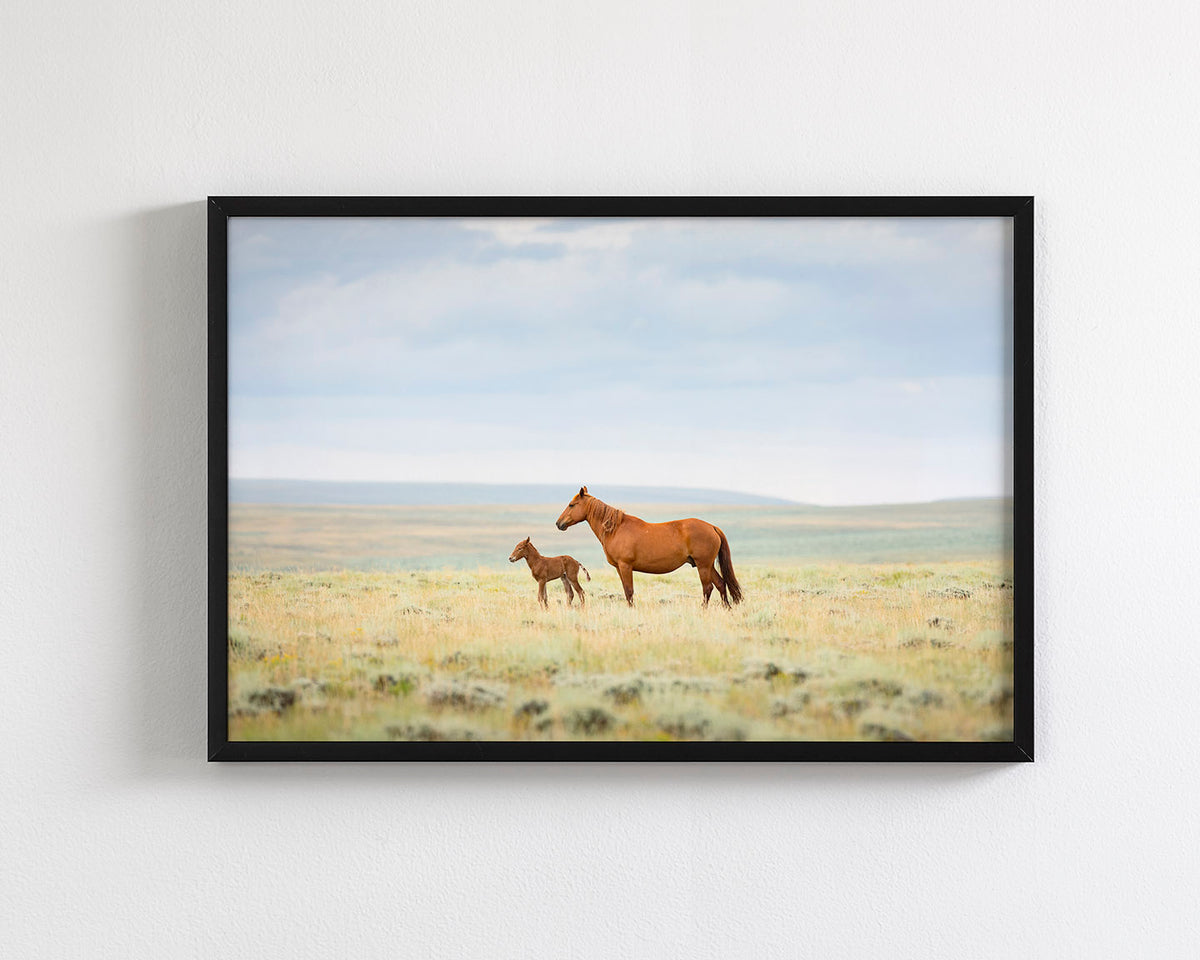 Newborn Foal with Mother, Color