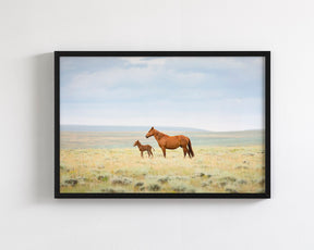 Newborn Foal with Mother, Color
