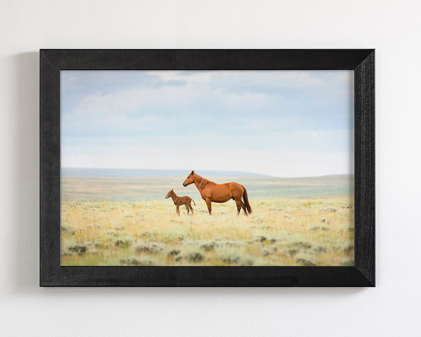 Newborn Foal with Mother, Color
