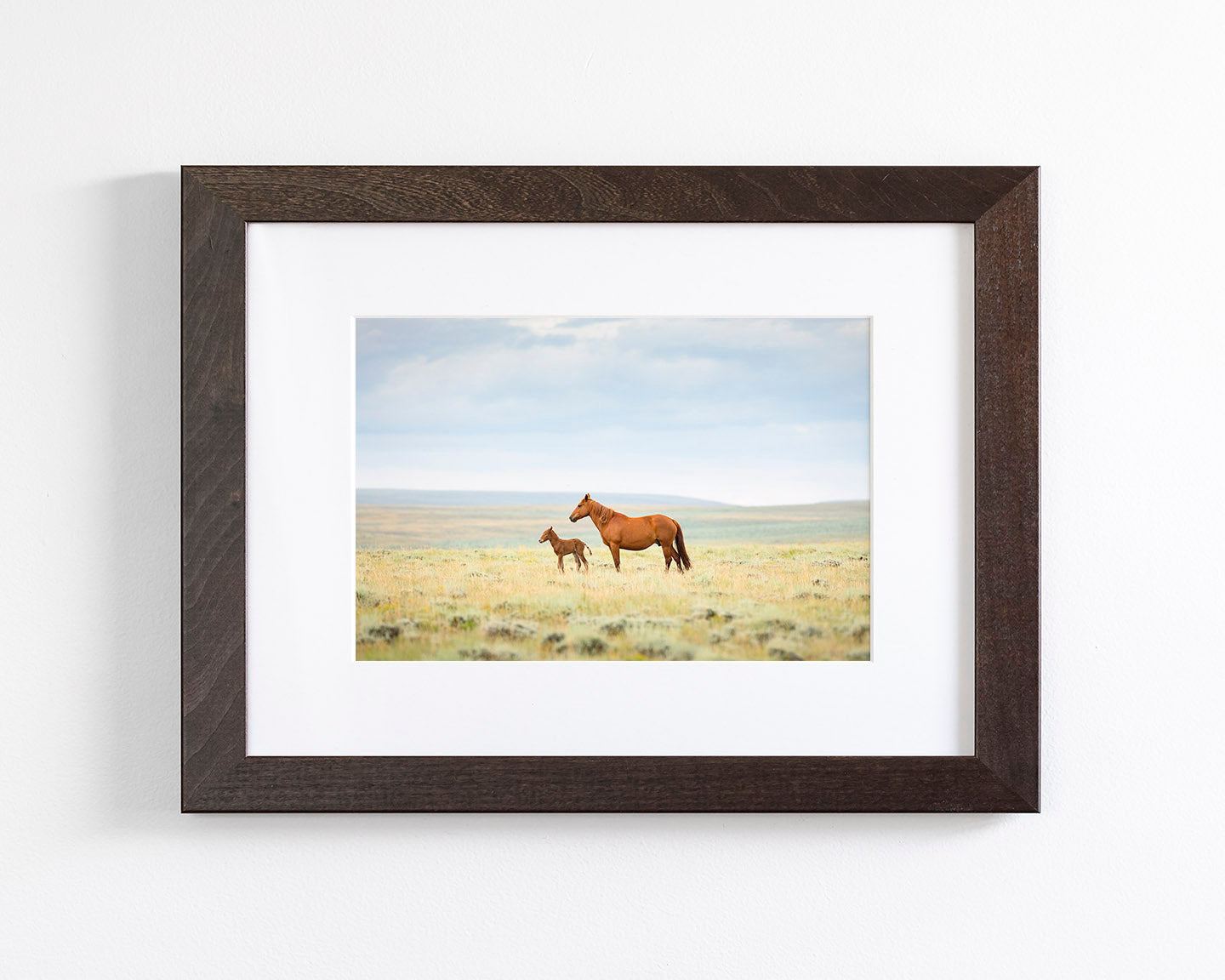 Newborn Foal with Mother, Color