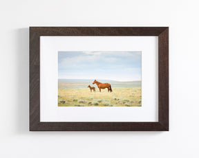 Newborn Foal with Mother, Color