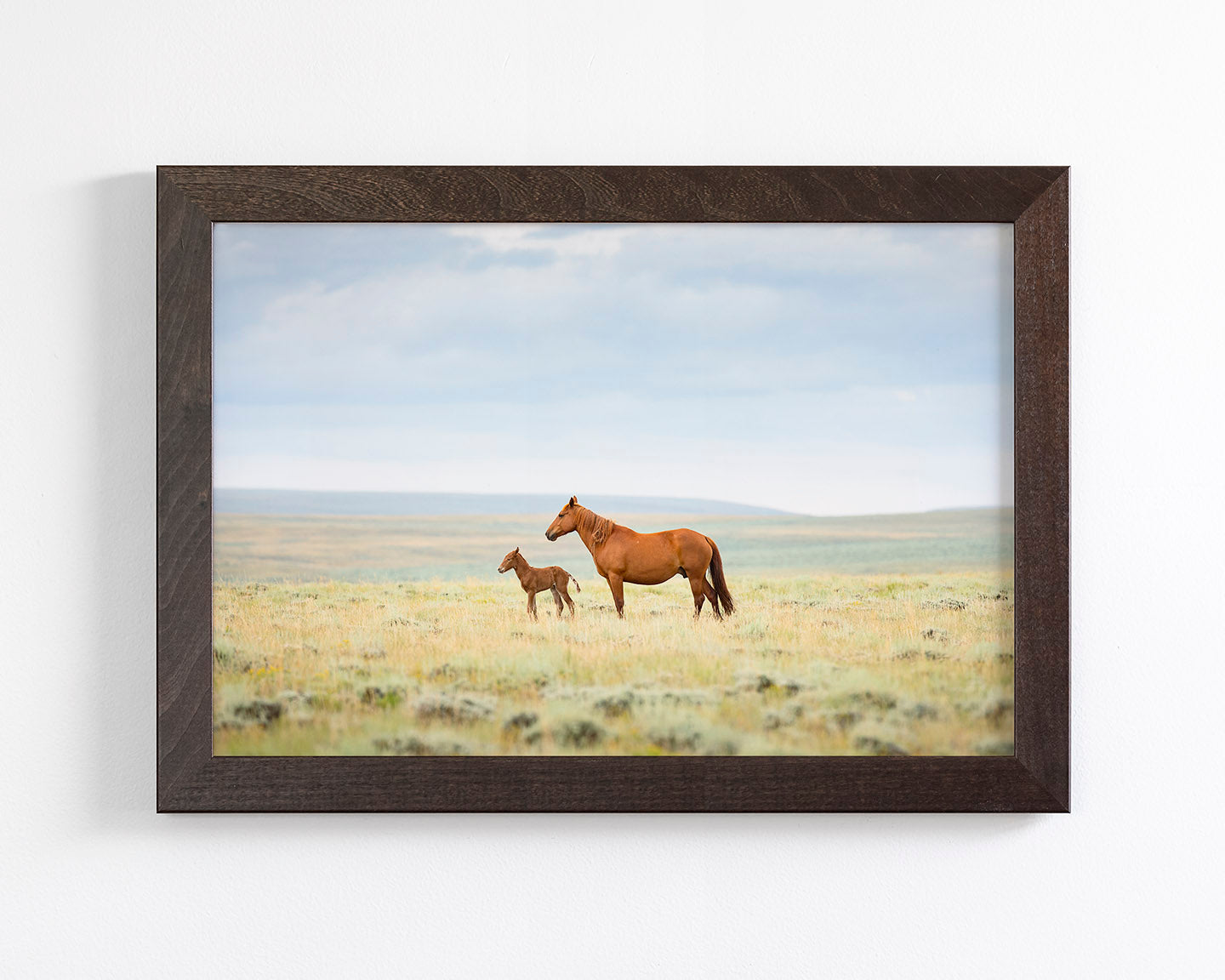 Newborn Foal with Mother, Color