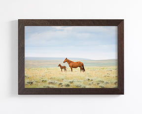 Newborn Foal with Mother, Color
