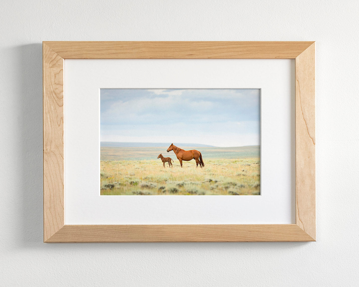 Newborn Foal with Mother, Color