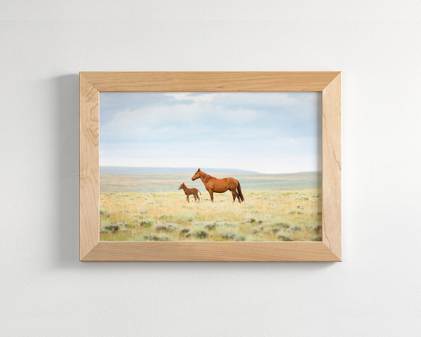 Newborn Foal with Mother, Color