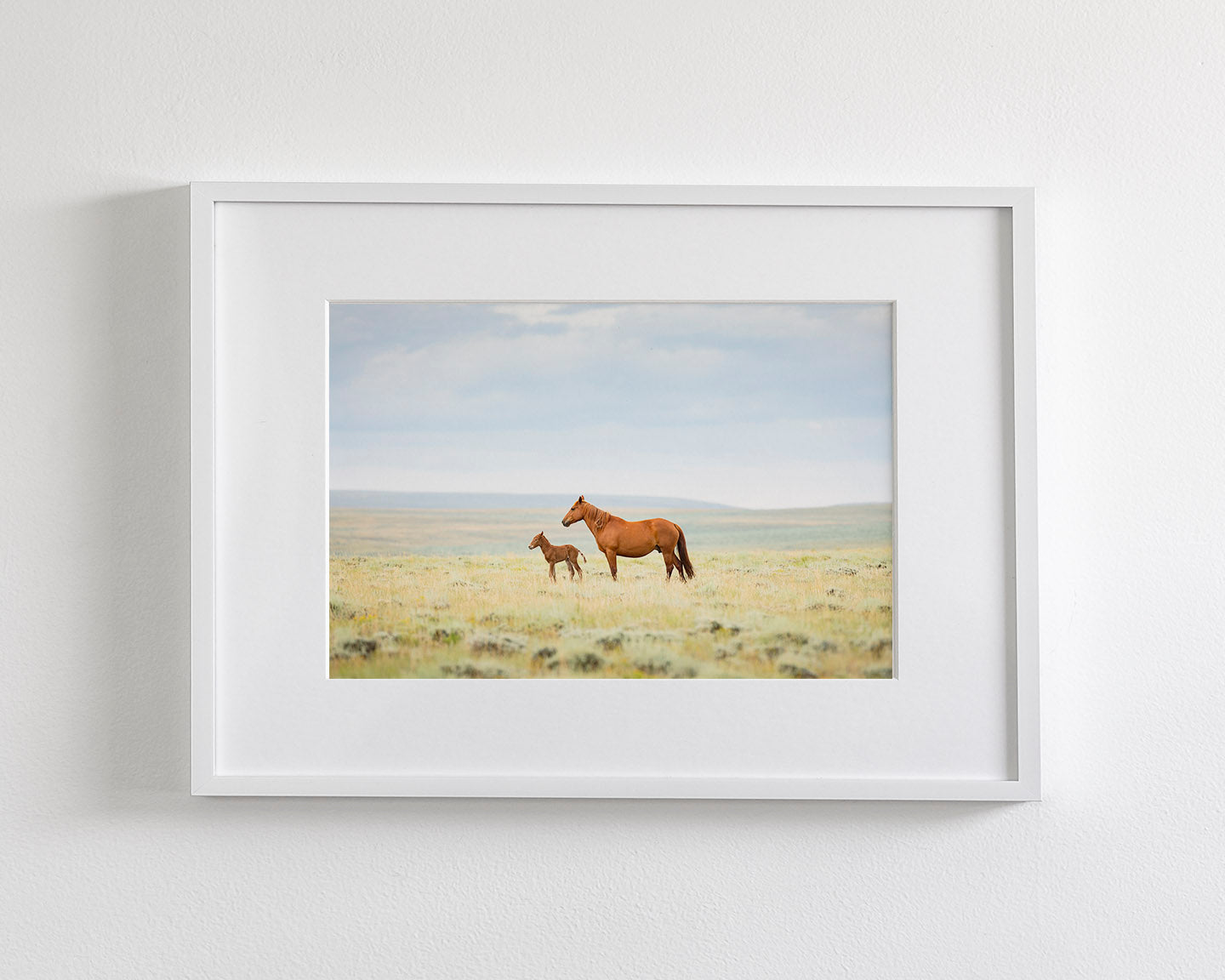 Newborn Foal with Mother, Color