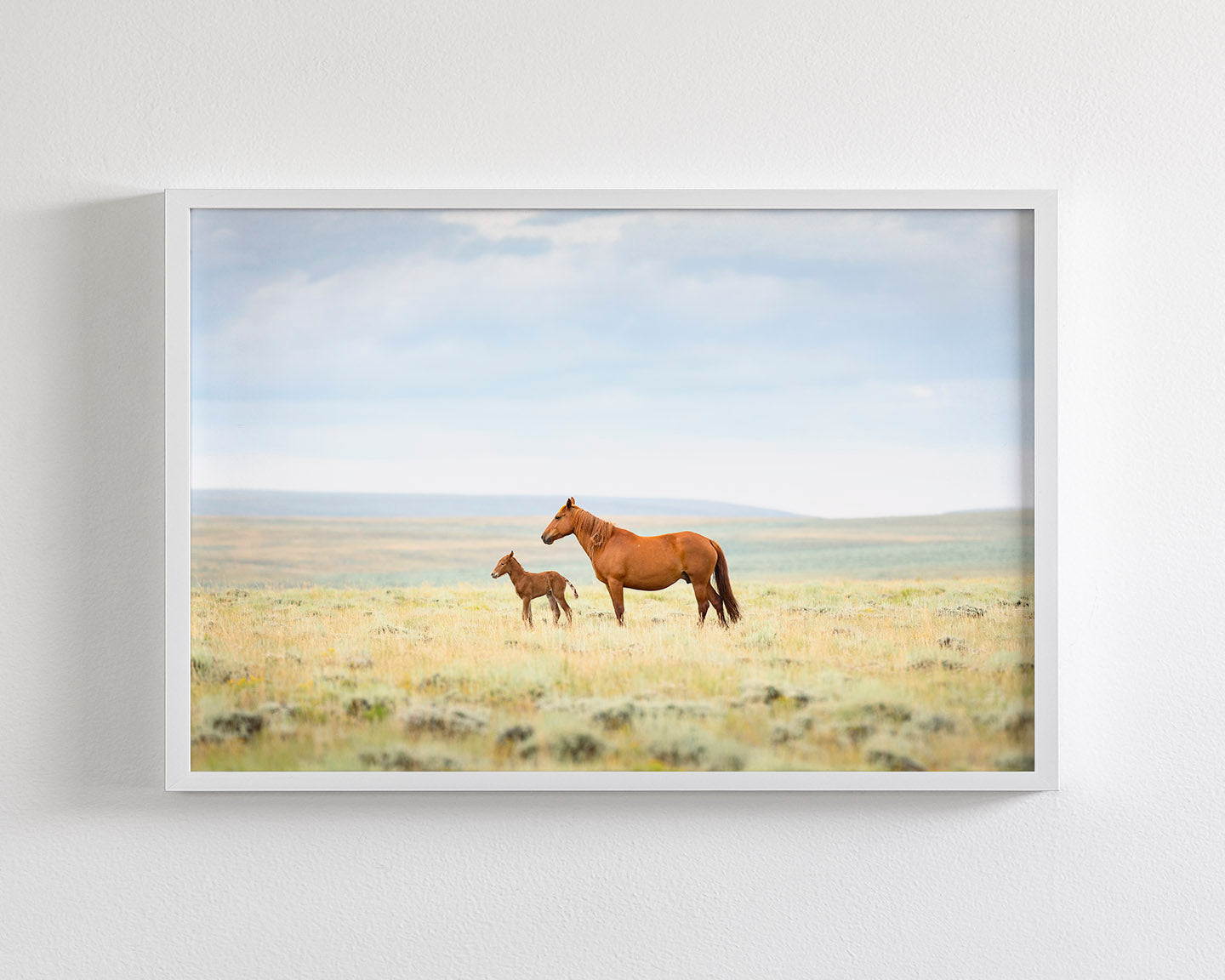 Newborn Foal with Mother, Color