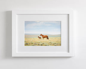 Newborn Foal with Mother, Color