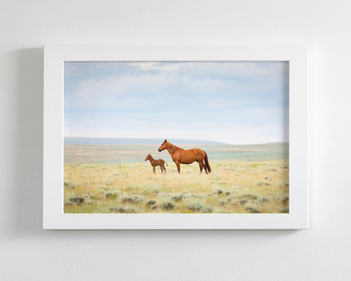 Newborn Foal with Mother, Color