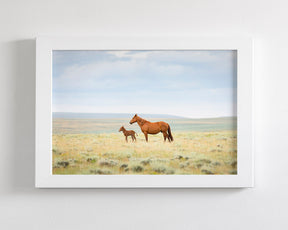 Newborn Foal with Mother, Color