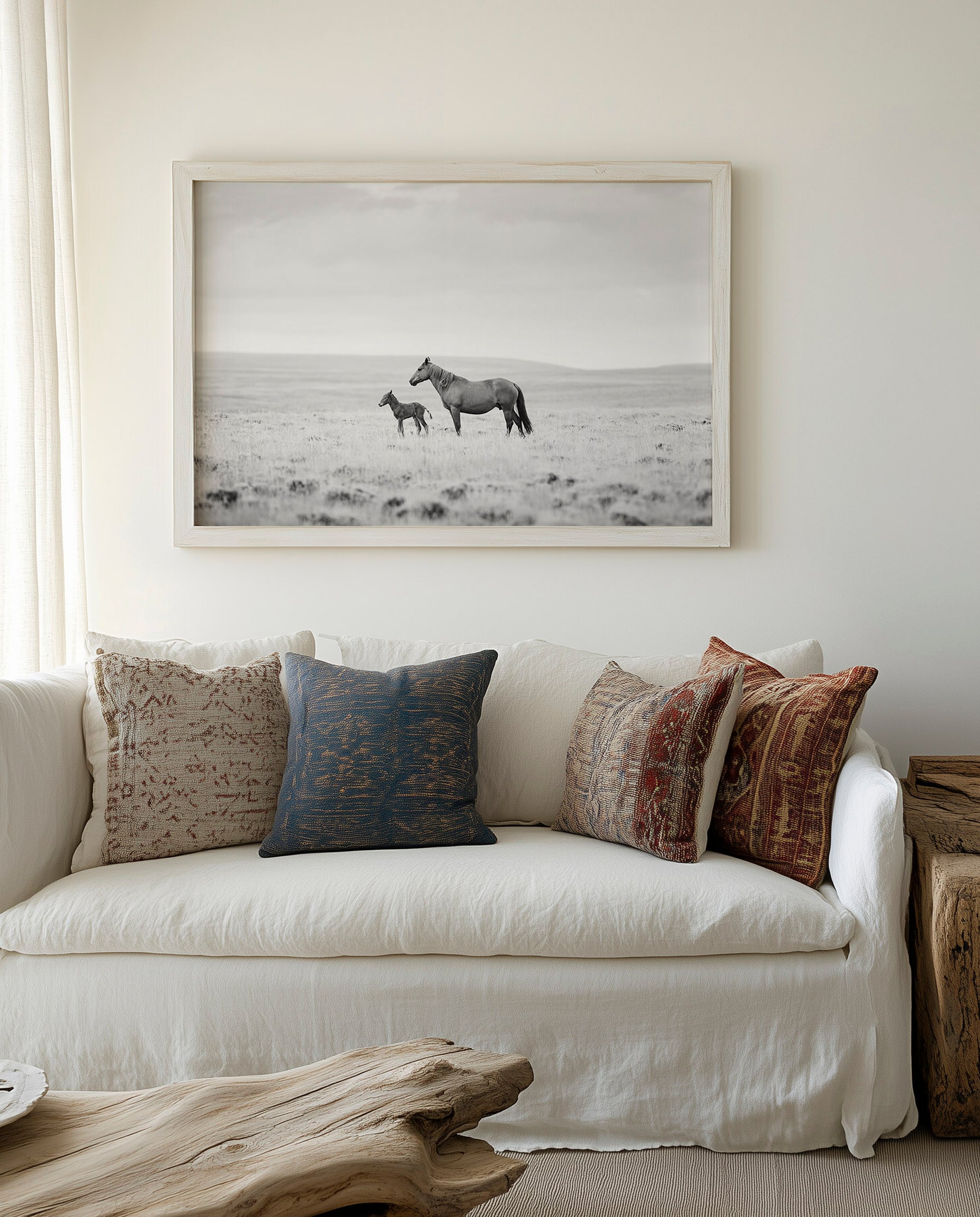 Newborn Foal and Mother, Wild Horse Photography