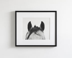 Pointy Ears