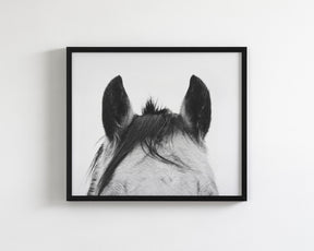 Pointy Ears