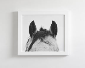 Pointy Ears