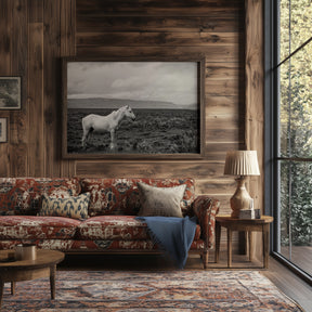 Palomino in Black and White Landscape