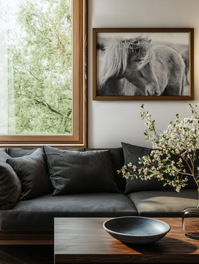 Wind blown Icelandic Horse