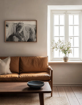 Wind blown Icelandic Horse