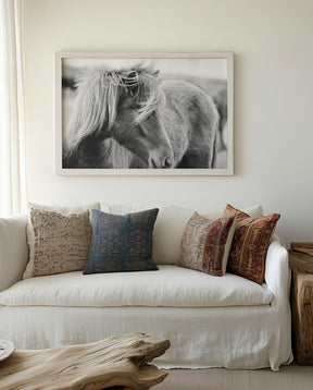 Wind blown Icelandic Horse