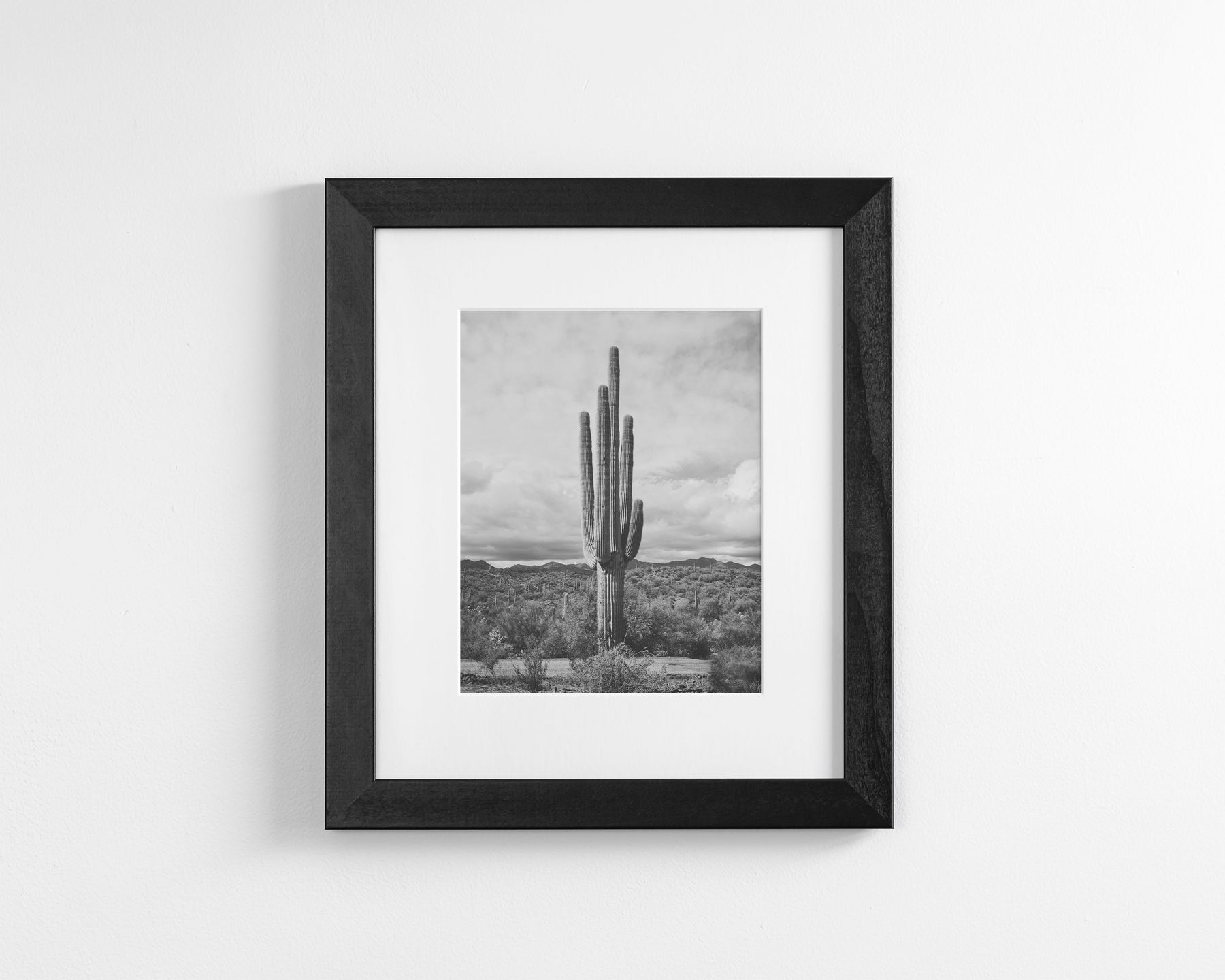 Saguaro Cactus, Vertical