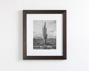 Saguaro Cactus, Vertical