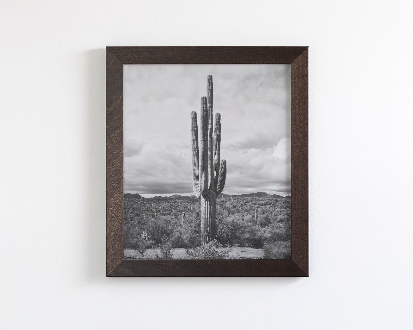 Saguaro Cactus, Vertical
