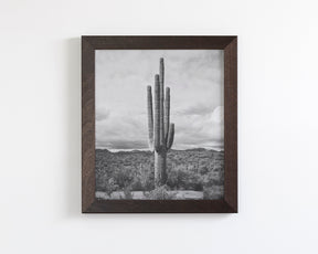 Saguaro Cactus, Vertical