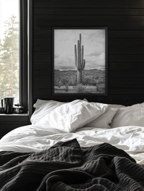 Saguaro Cactus, Vertical