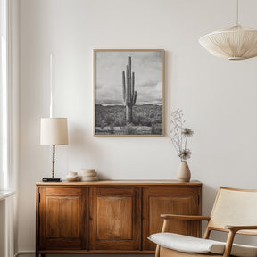Saguaro Cactus, Vertical