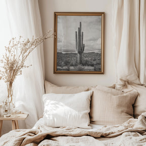 Saguaro Cactus, Vertical