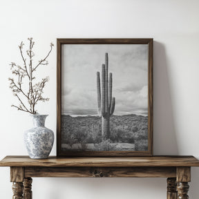 Saguaro Cactus, Vertical