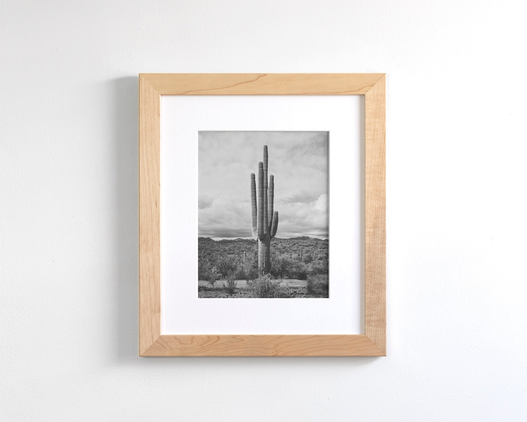 Saguaro Cactus, Vertical