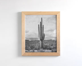 Saguaro Cactus, Vertical