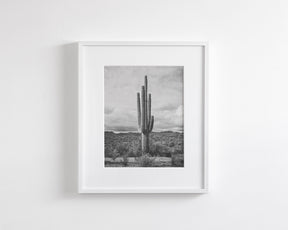 Saguaro Cactus, Vertical