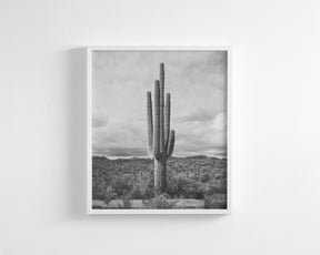 Saguaro Cactus, Vertical