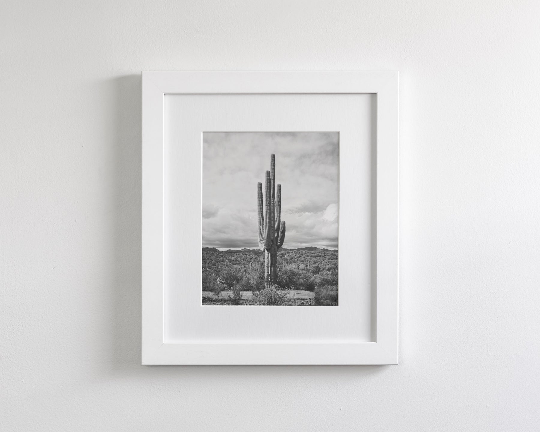Saguaro Cactus, Vertical