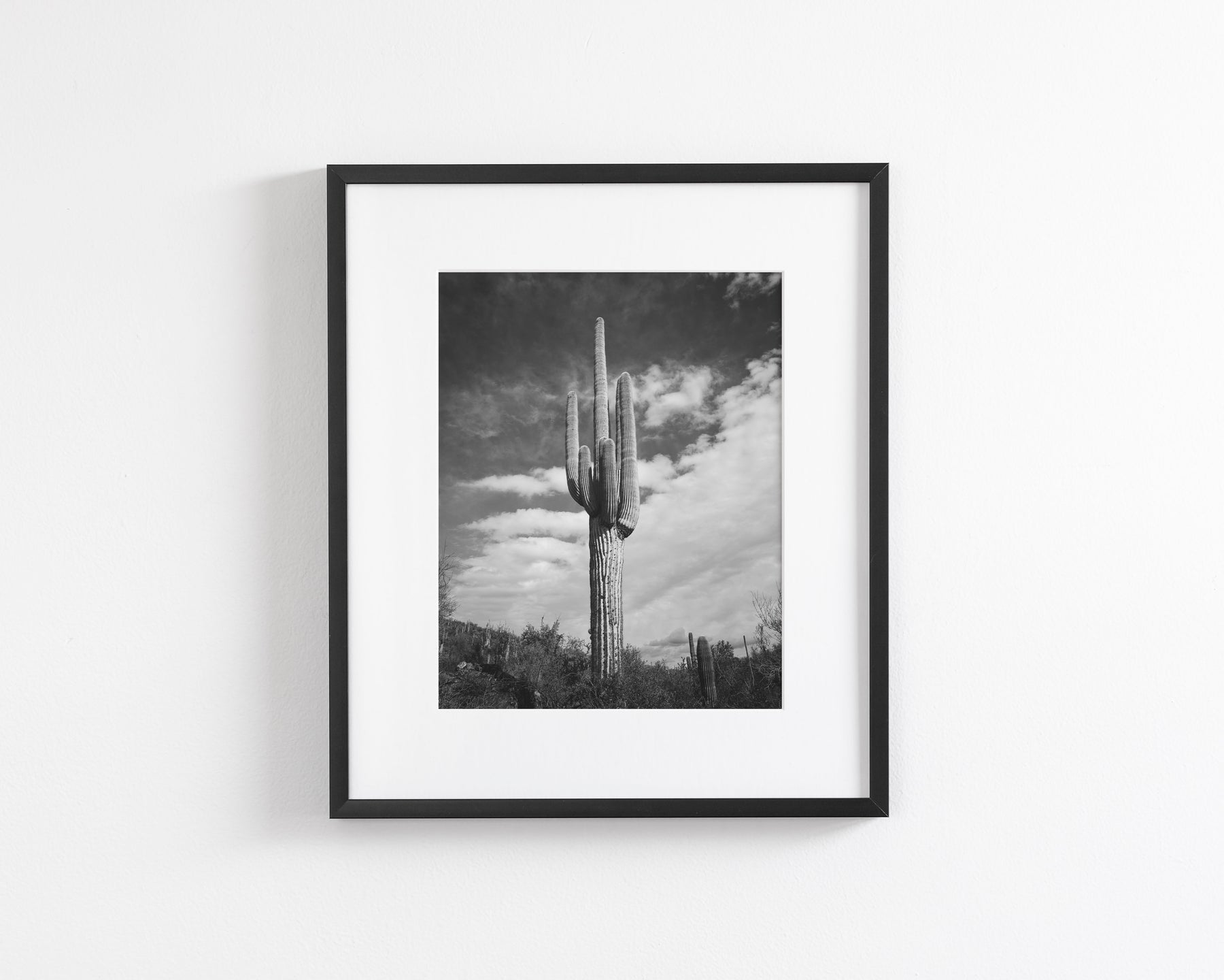 Desert Cactus, Vertical